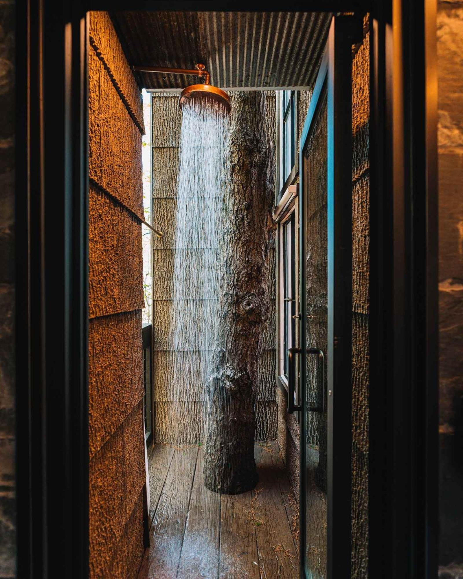 Treetop Hideaways: Wood Lily Treehouse In Chattanooga Eksteriør billede